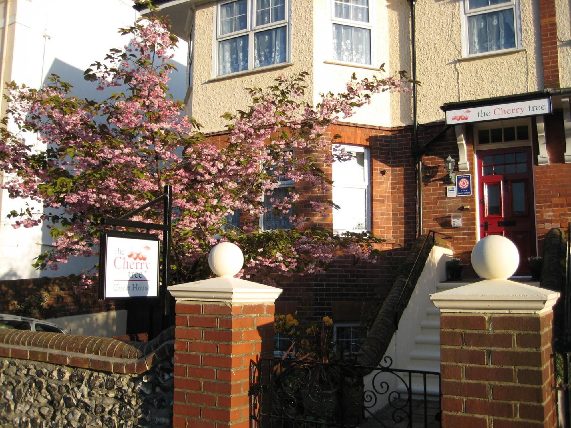 The Cherry Tree Guest House อีสต์บอร์น ภายนอก รูปภาพ